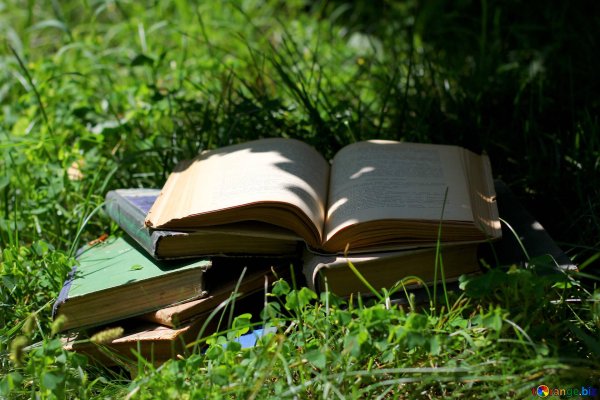 раскрытая книга