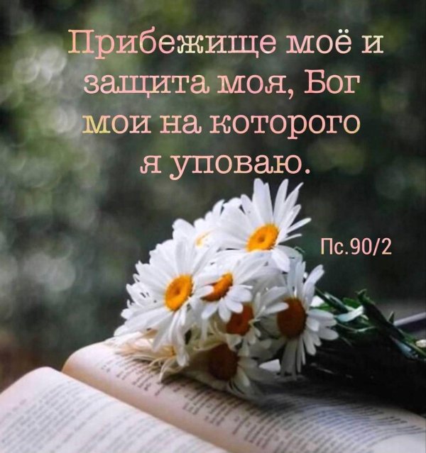 библейские стихи