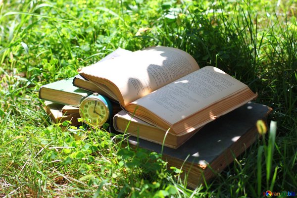 раскрытая книга