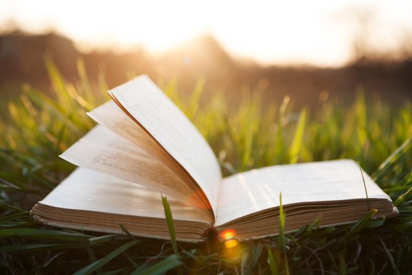 открытая книга