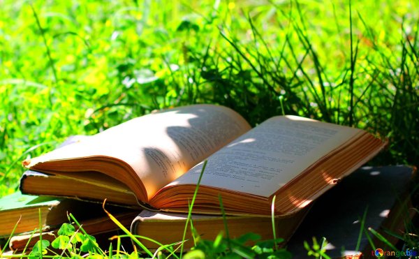 чтение летом