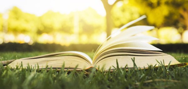 открытая книга