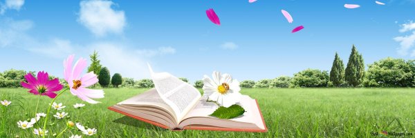 летнее чтение