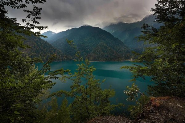 рицинский заповедник абхазия