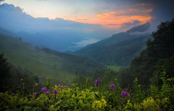 альпийские луга дагестана