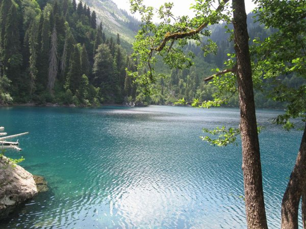 пицунда озеро рица