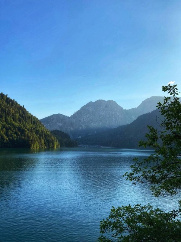 рицинский реликтовый национальный парк