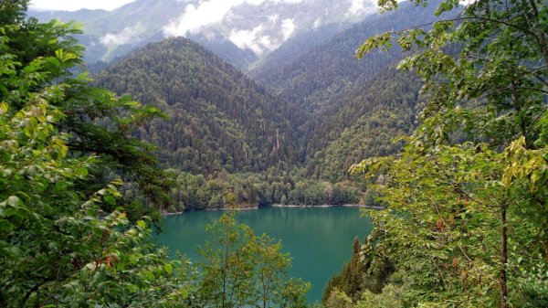 рицинский заповедник абхазия