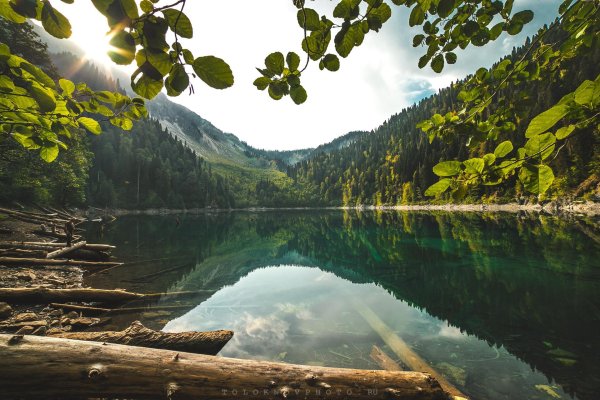 озеро рица летом