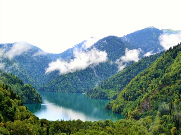 рицинский заповедник абхазия