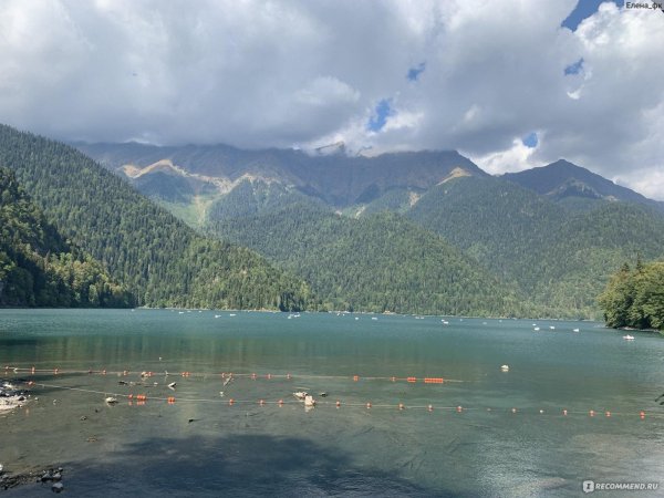 рицинский заповедник абхазия