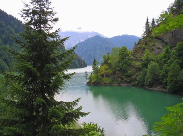 рицинский заповедник абхазия