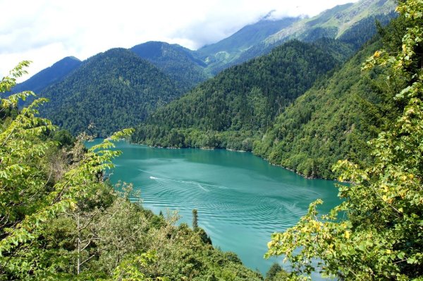 рицинский реликтовый национальный парк
