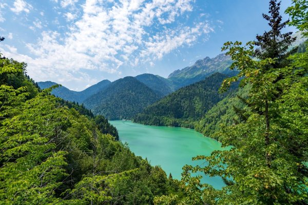 рицинский заповедник абхазия