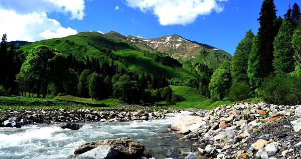 альпийские луга абхазии