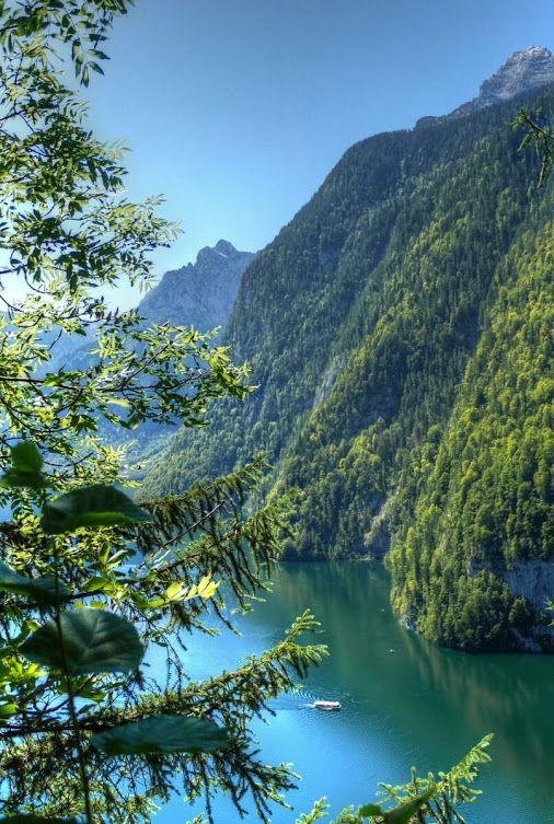 баварский лес в германии