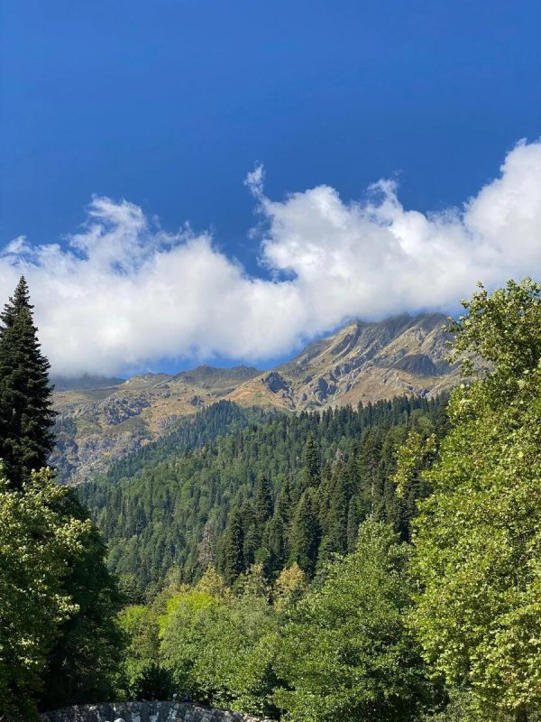 кавказские горы 4908