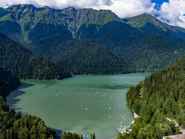 рицинский парк абхазия