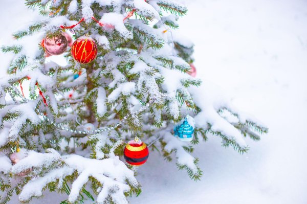 новогодней елки