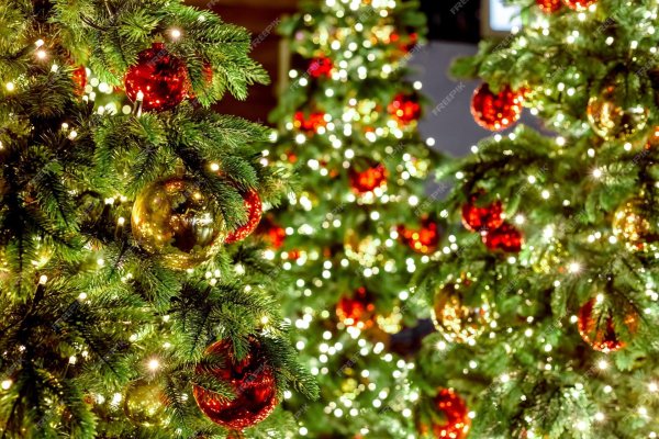 Новогодняя природа