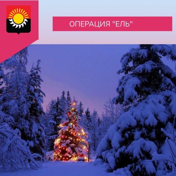 новогодний лес