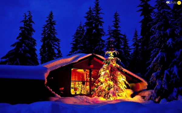 домик в зимнем лесу