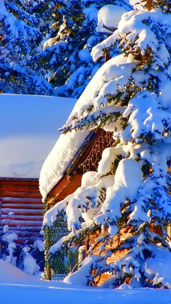 зимние пейзаж