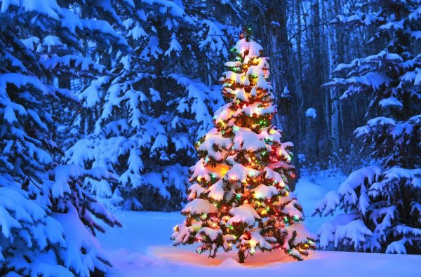 елка красивая новогодняя