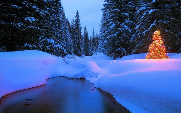 новогодний лес