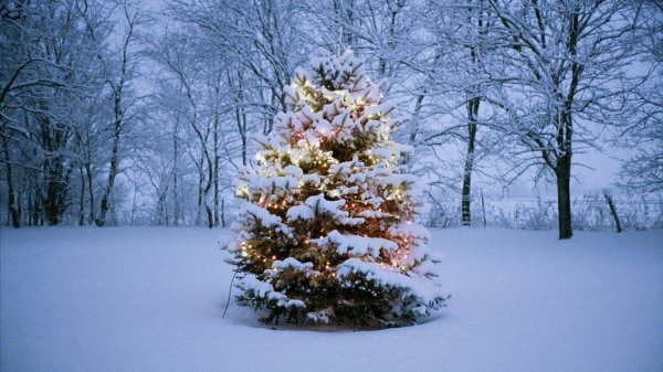 новогодней елки