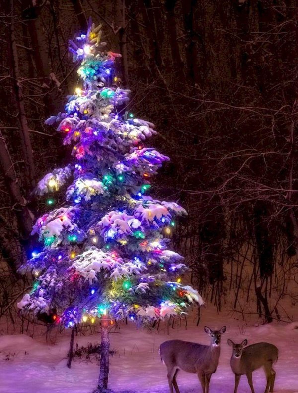 новогодней елки