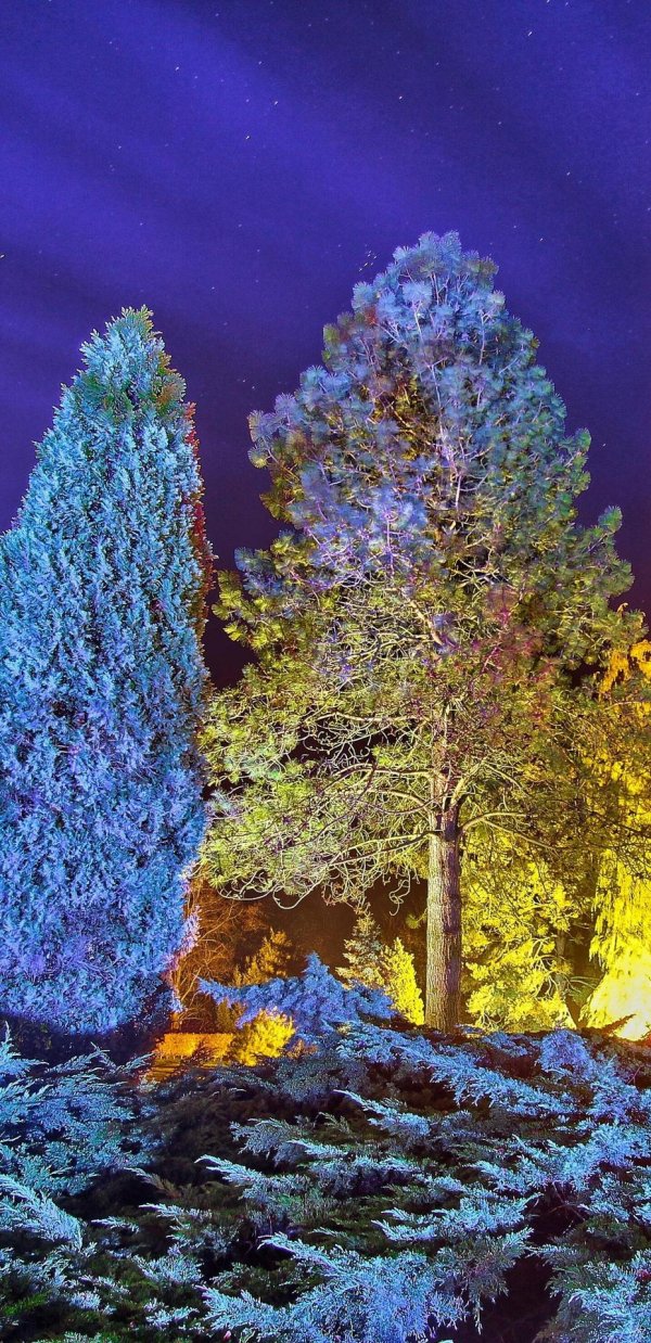 подсветка дерева