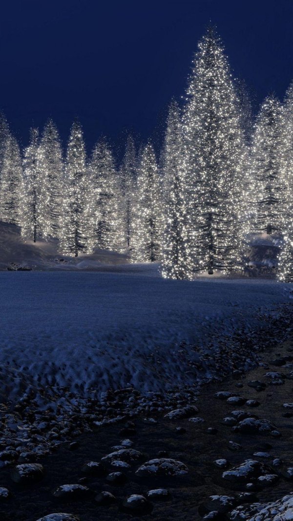 зимний ночной лес