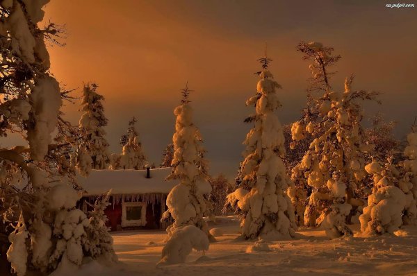 зимние пейзаж