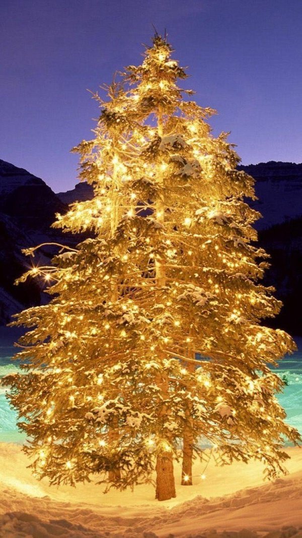 новогодней елки