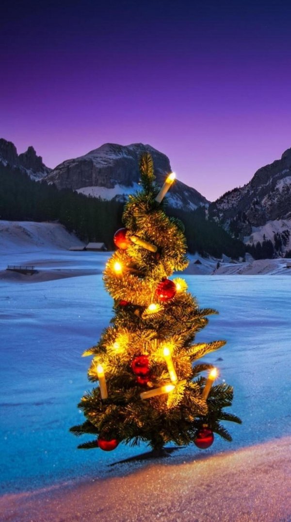 новогодние пейзажи