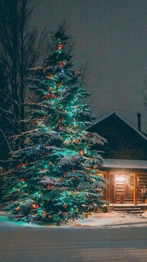 новогодней елки