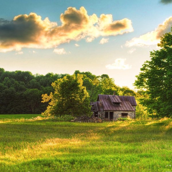 деревенские домики