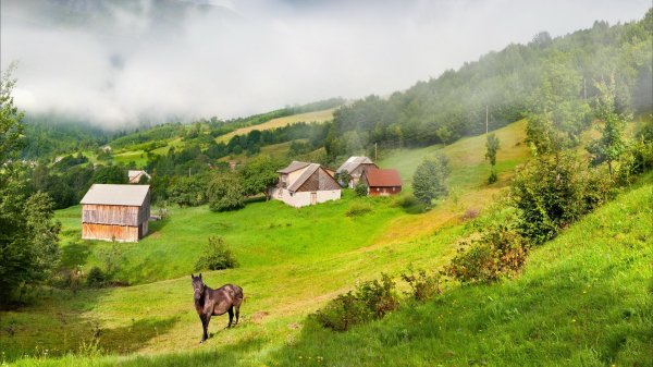 карпатские горы украина