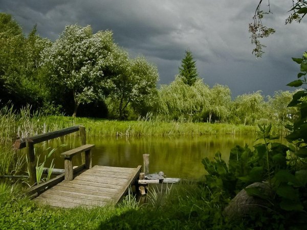 прудик речка мостикдеревня