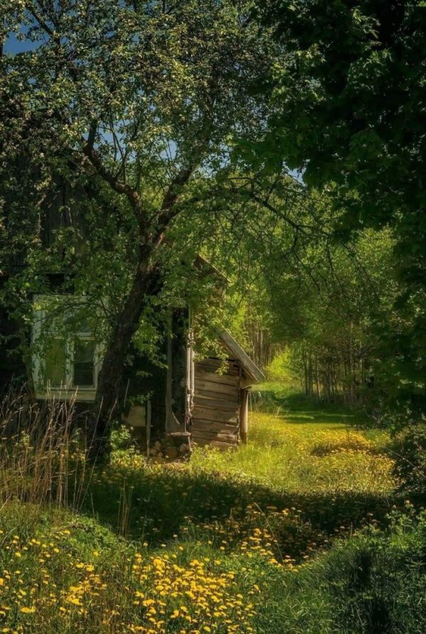 деревенская атмосфера