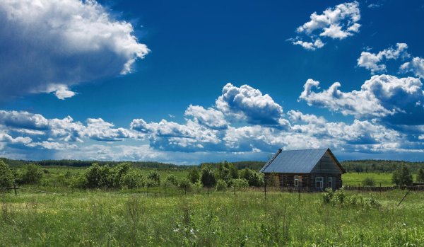 гой ты русь моя родная есенин
