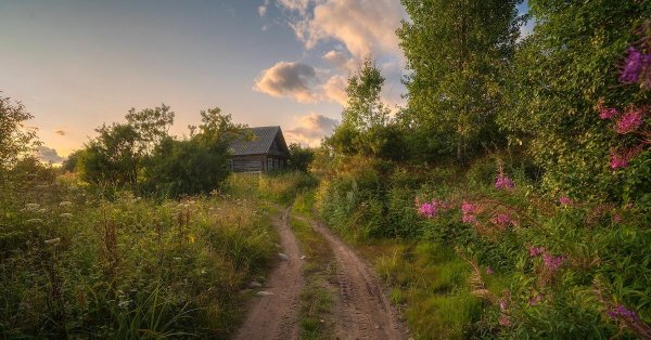 природа деревни