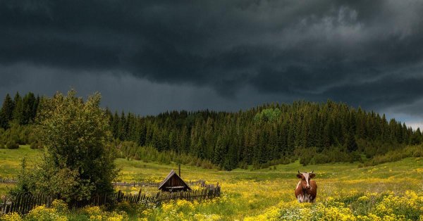 красота деревенской природы