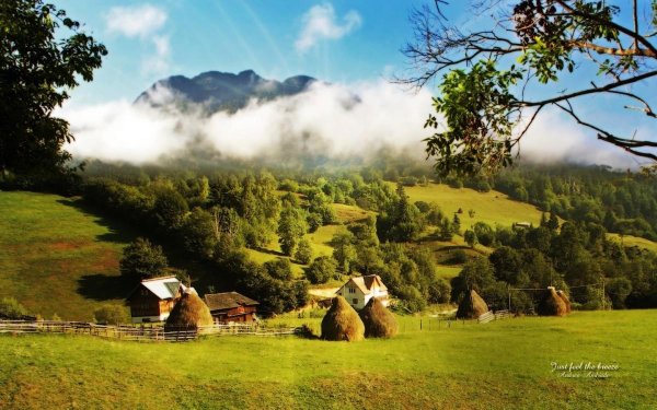 горы закарпатья