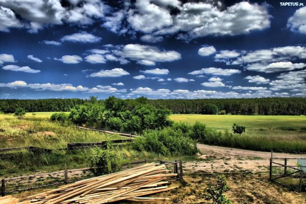 деревенская природа