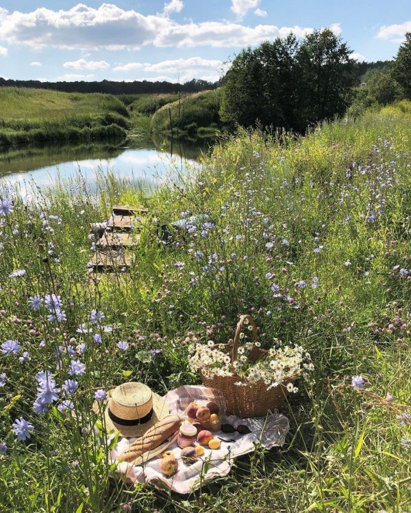 пикник лето природа казан