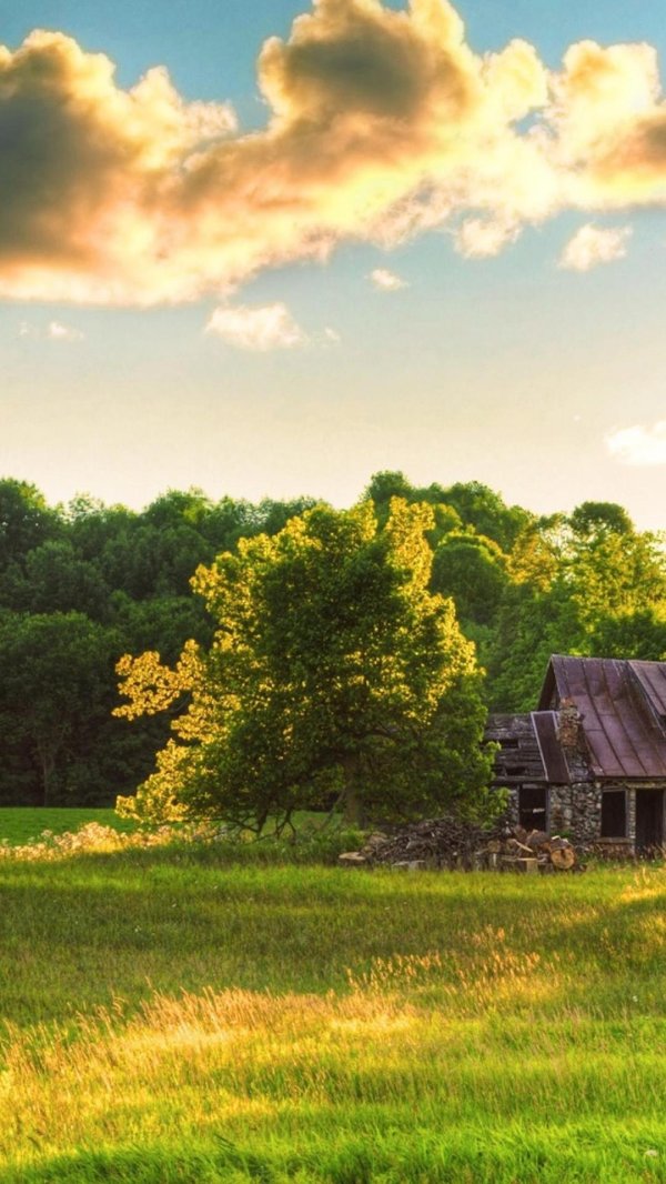 фон деревни