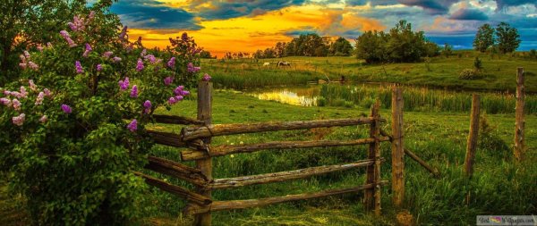 деревенские пейзажи