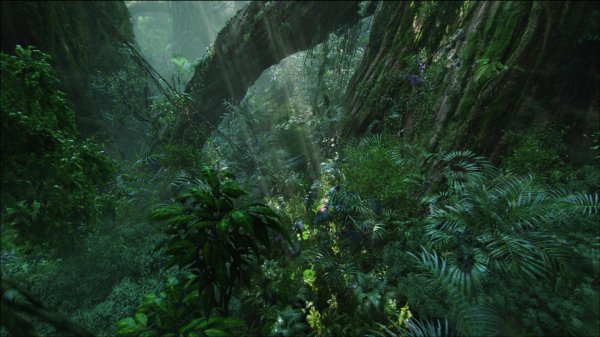 фон джунглей